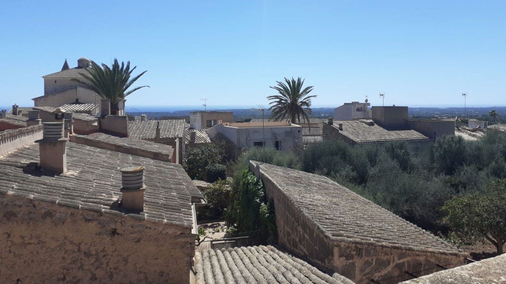 House in s'Alqueria Blanca, Santanyi, Balearic Islands 3 - 14182808