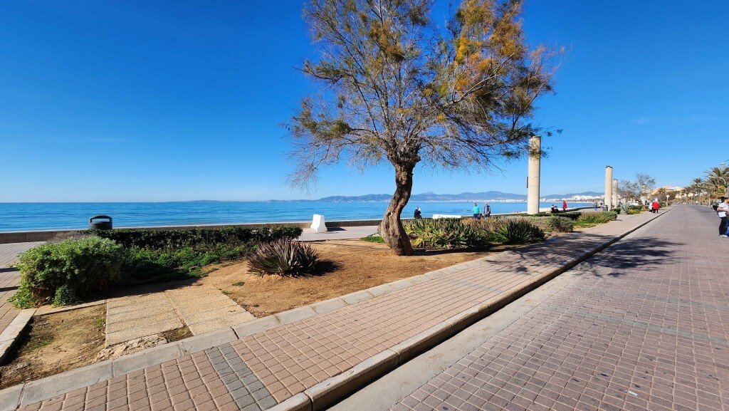 Playa de Palma, Palma, Balearic Islands 5 - 14189222