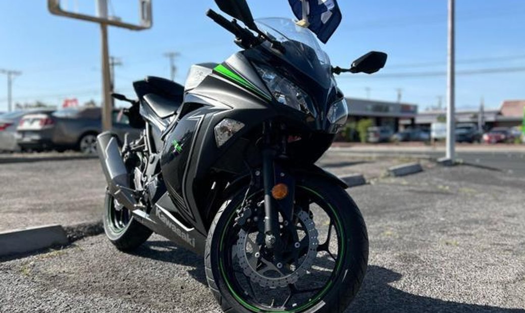 2015 Kawasaki Ninja 300