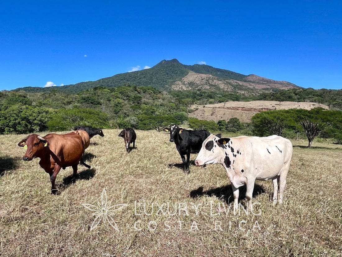 Land in Mogote de Bagaces, Guanacaste Province, Costa Rica 4 - 14195100