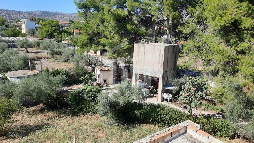 Land in Kropia, Attica, Greece 4 - 14199780