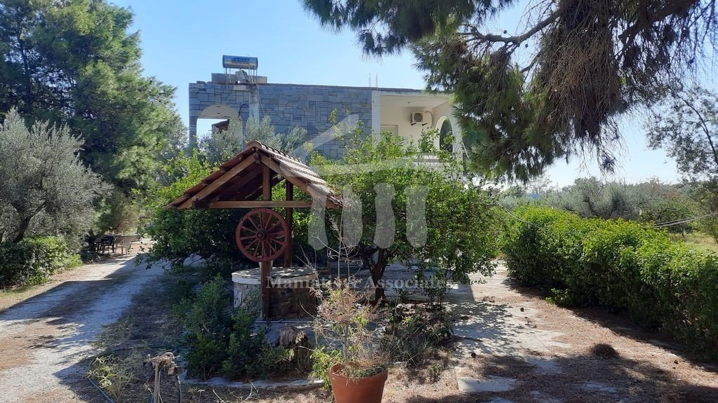 Land in Kropia, Attica, Greece 1 - 14199780