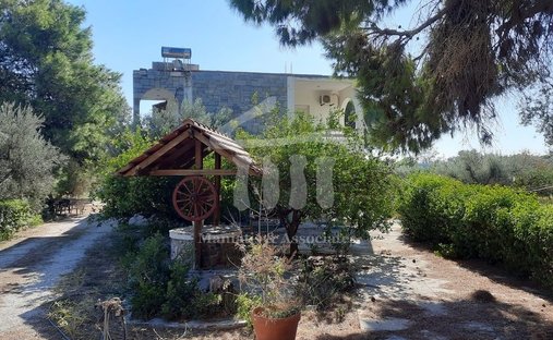 Land in Kropia, Attica, Greece 1
