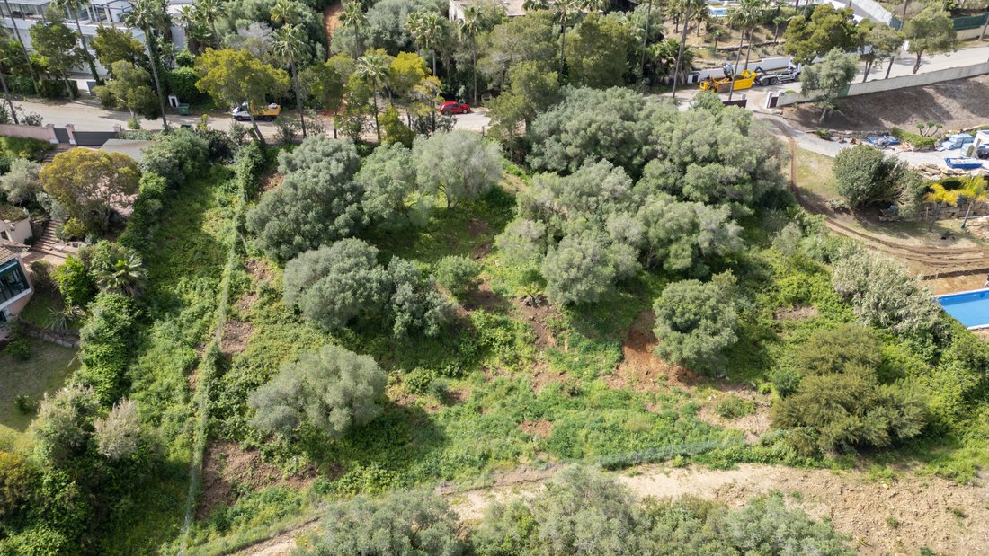 Land in Sotogrande, San Roque, Andalusia 2 - 14197793