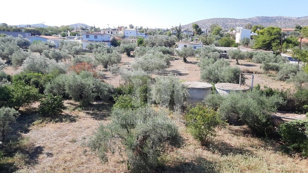 Land in Kropia, Attica, Greece 5 - 14199780