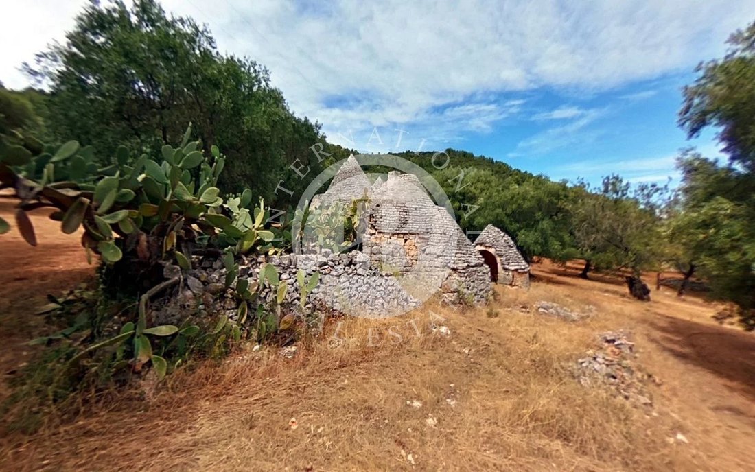 Villa in Selva di Fasano, Apulia, Italy 4 - 14199971