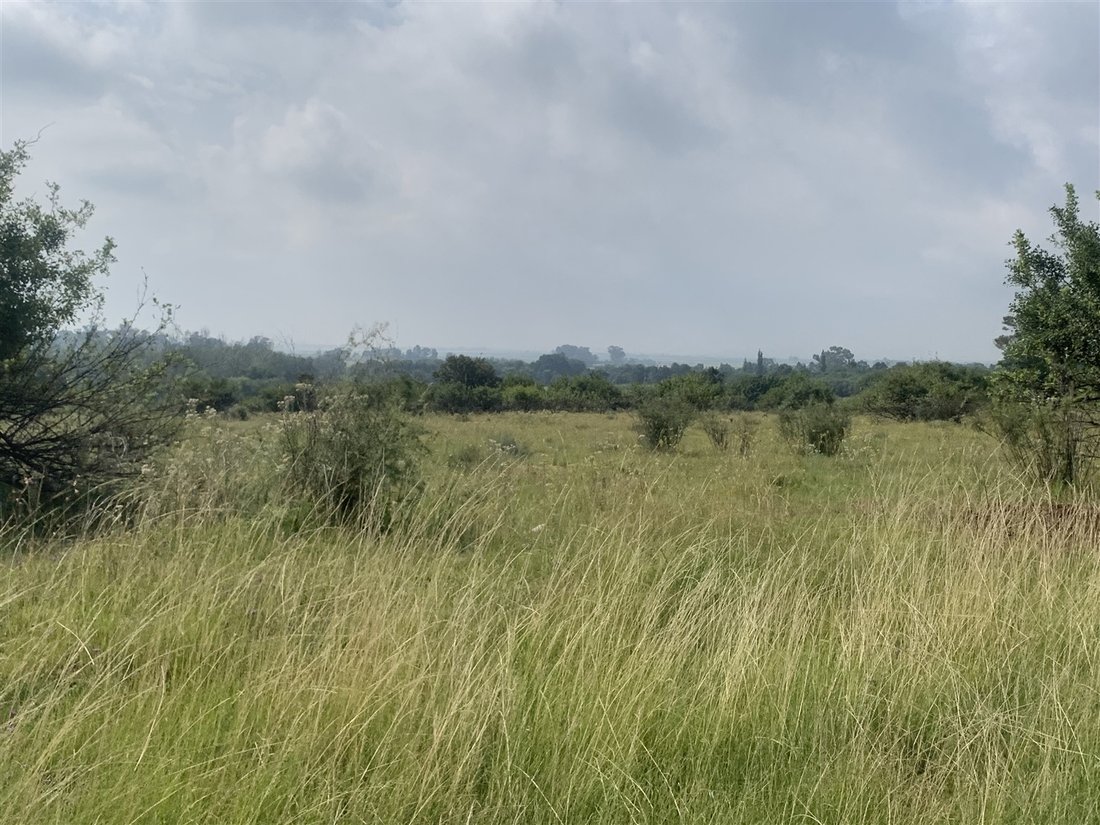 Land in Randvaal, Gauteng, South Africa 1 - 14198153