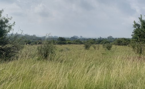 Land in Randvaal, Gauteng, South Africa 1