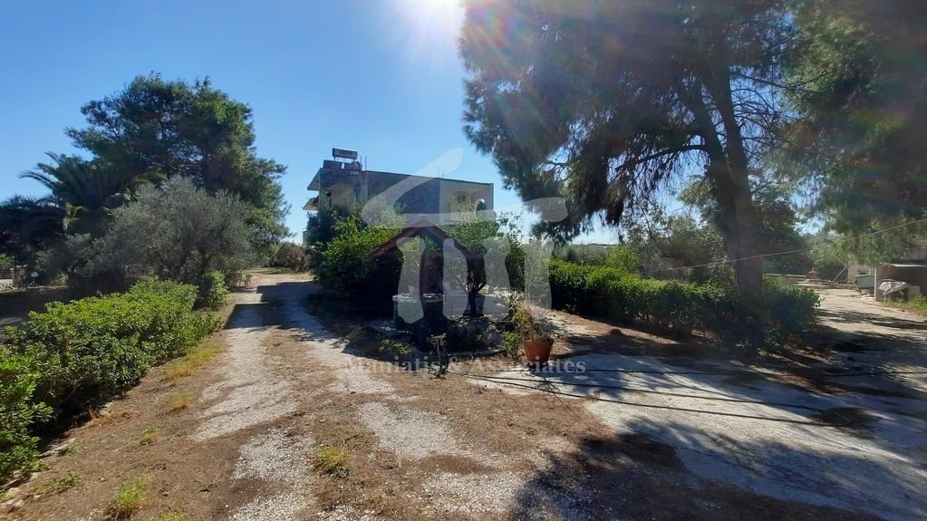 Land in Kropia, Attica, Greece 3 - 14199780
