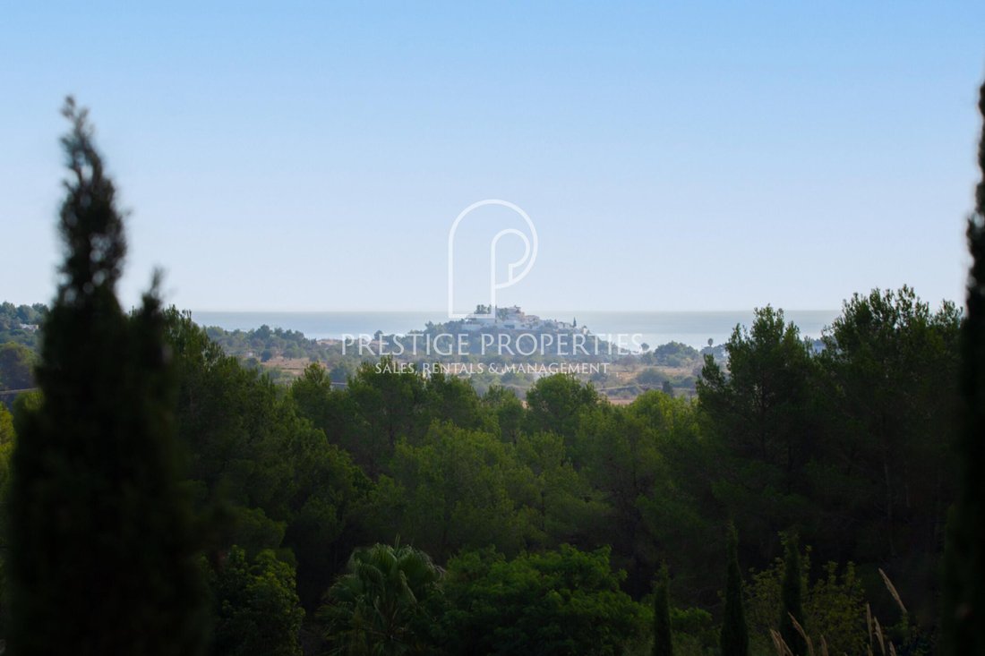House in Sant Joan de Labritja, Balearic Islands, Spain 2 - 13533906