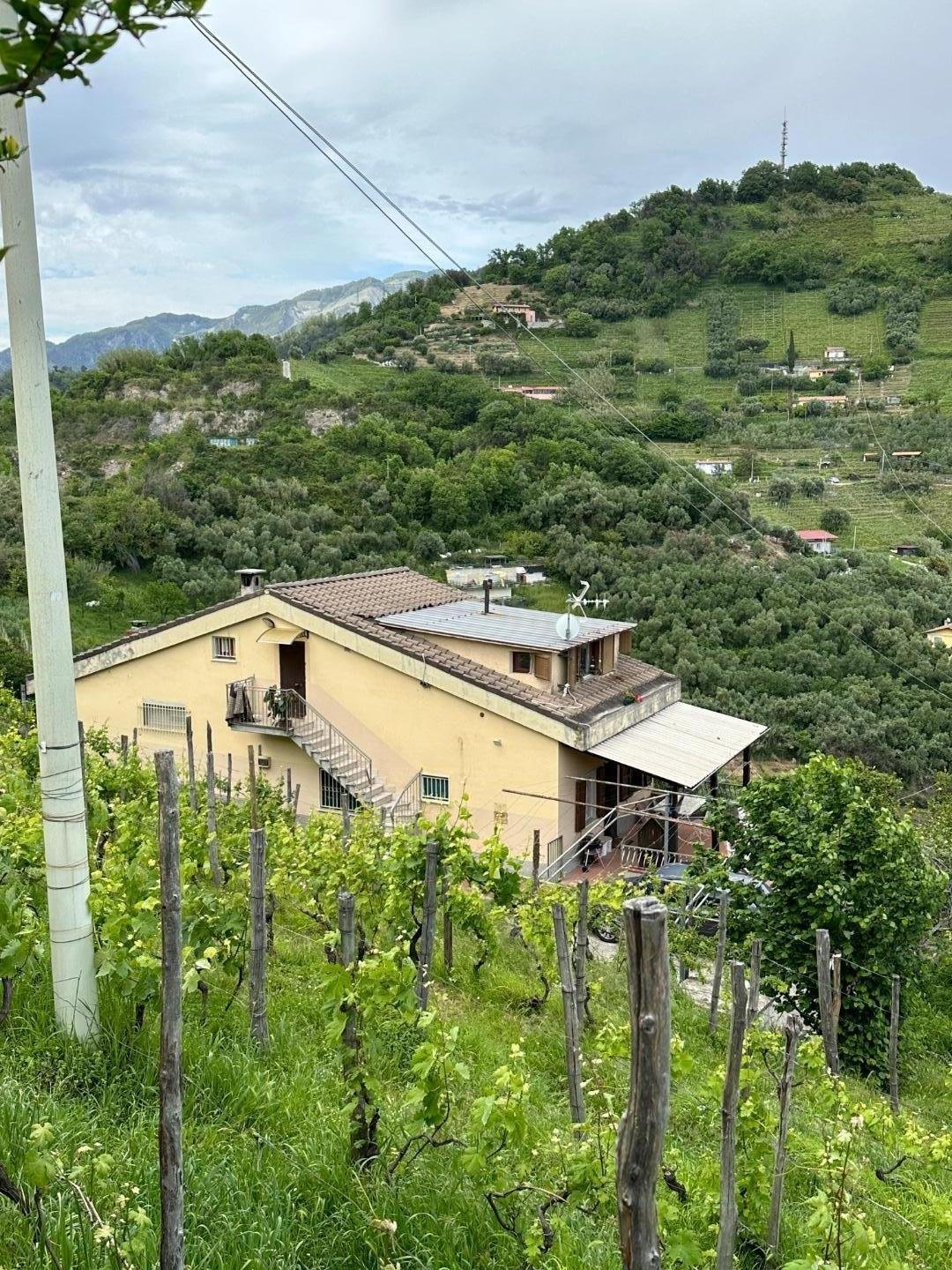 Country House in Romagnano, Massa, Tuscany 5 - 14209466