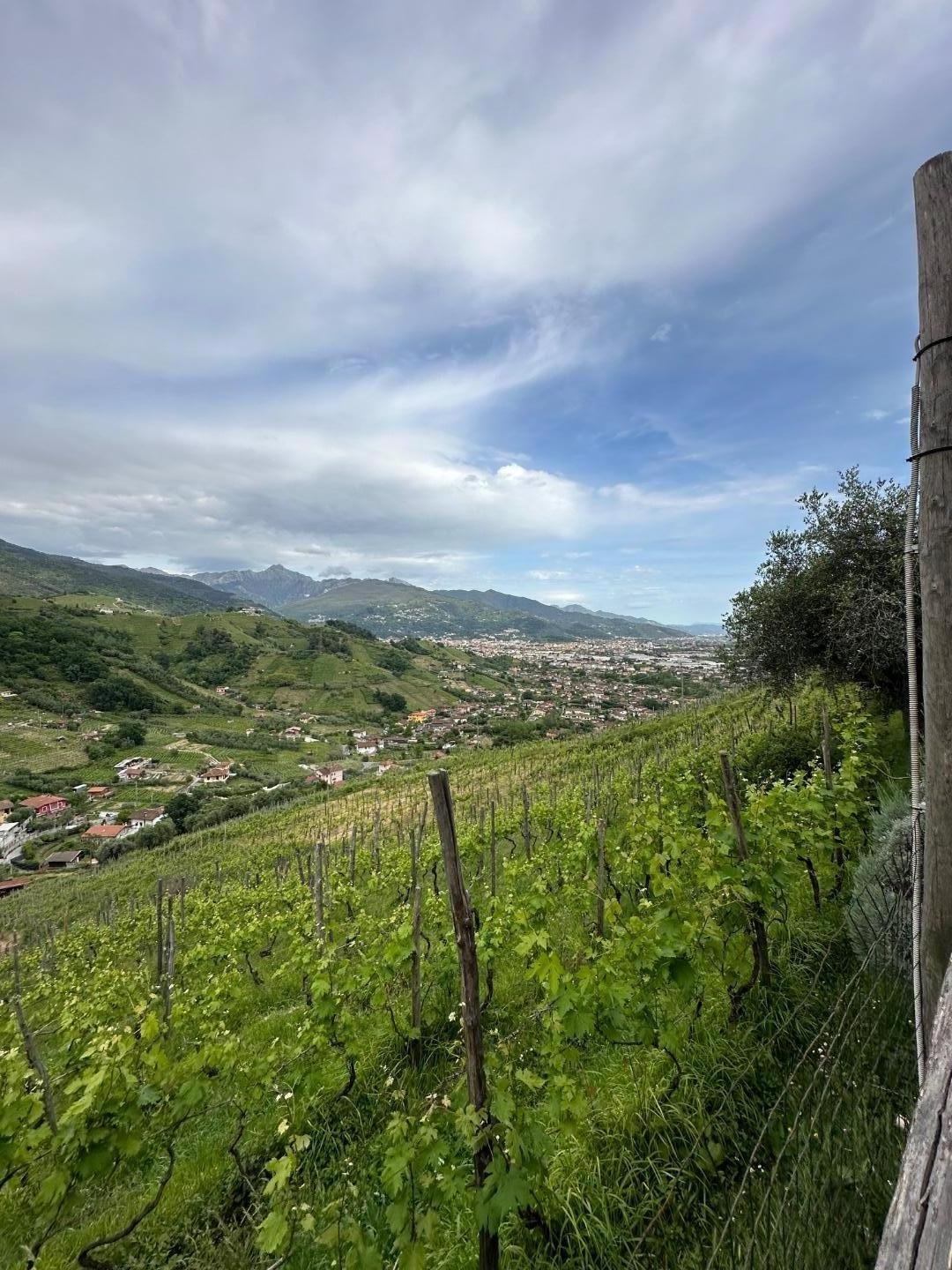 Country House in Romagnano, Massa, Tuscany 1 - 14209466