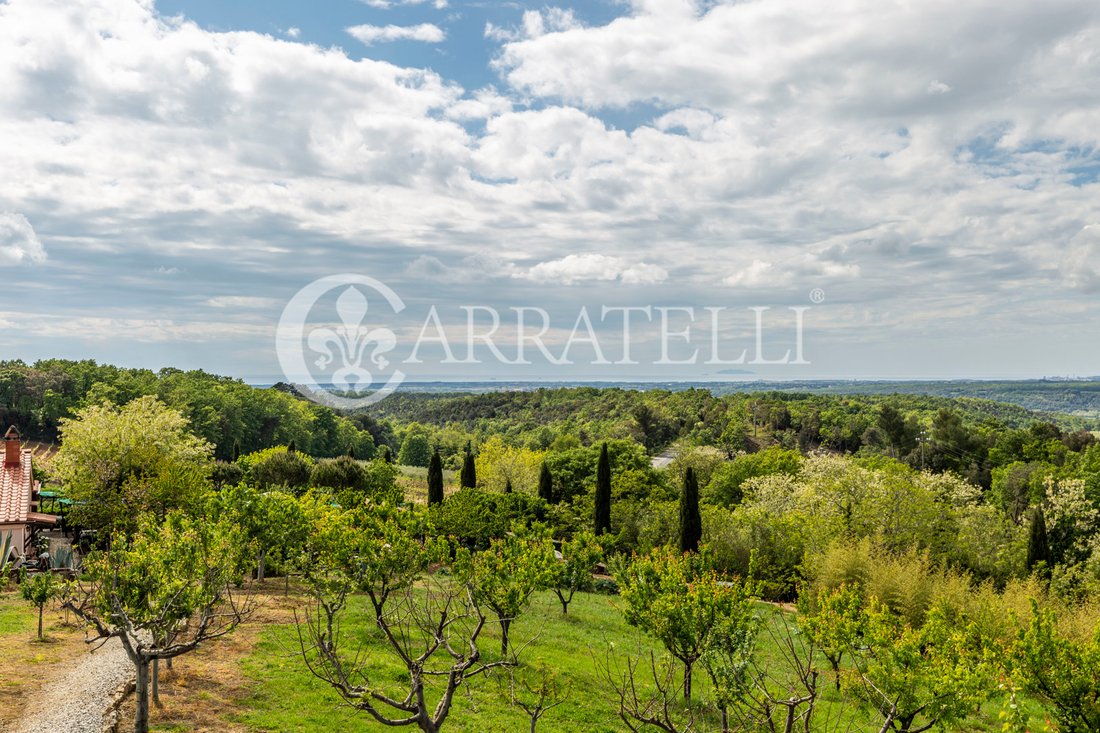 Azienda agricola a Montescudaio, Toscana, Italia 2 - 14210396