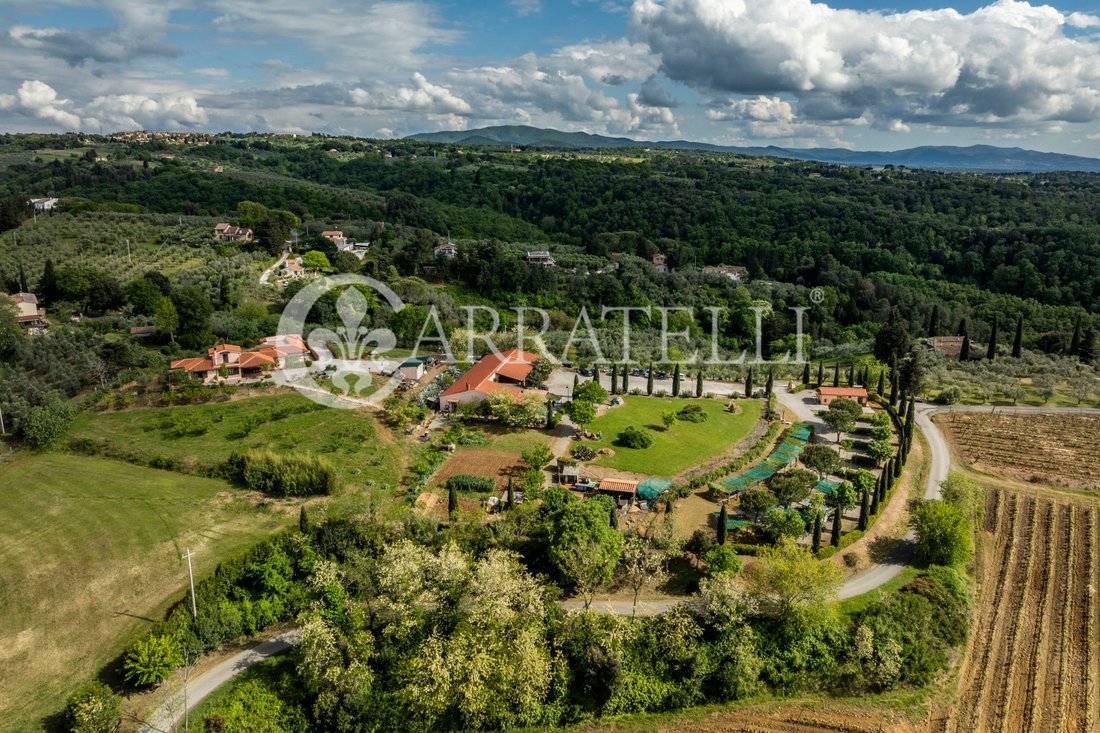 Azienda agricola a Montescudaio, Toscana, Italia 3 - 14210396