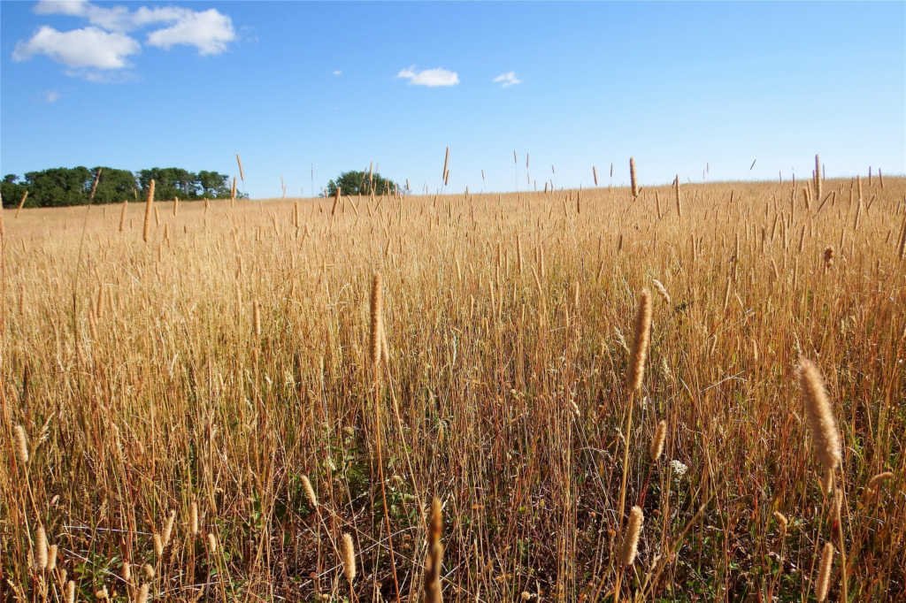 Single Family Detached Babb In Babb, Montana, United States For Sale (14176118)