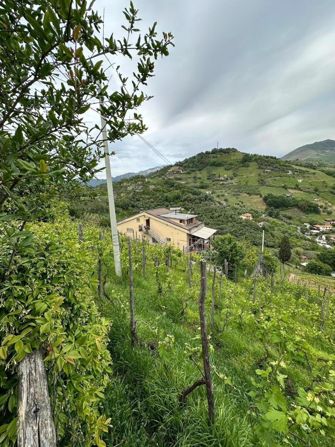 Country House in Romagnano, Massa, Tuscany 4 - 14209466