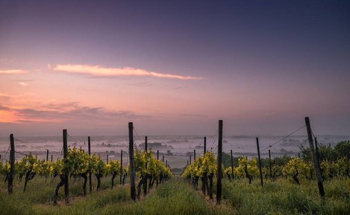 Azienda agricola a Riserva di Vendicari - Marzamemi - San Lorenzo, Noto, Sicilia 1