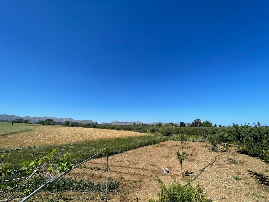 Land in Alcudia, Balearic Islands, Spain 3 - 14222538