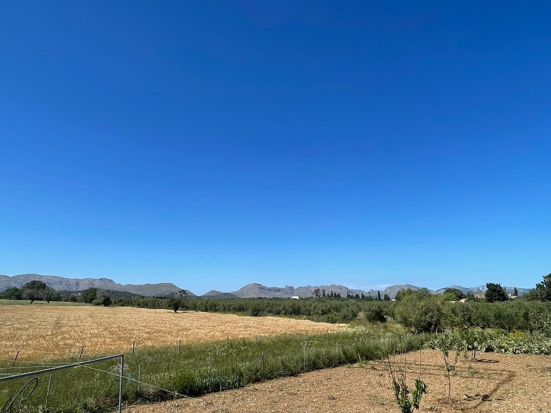 Land in Alcudia, Balearic Islands, Spain 4 - 14222538