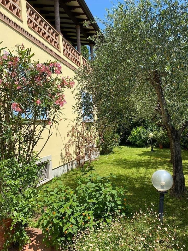 House in Pietrasanta, Tuscany, Italy 4 - 14223962
