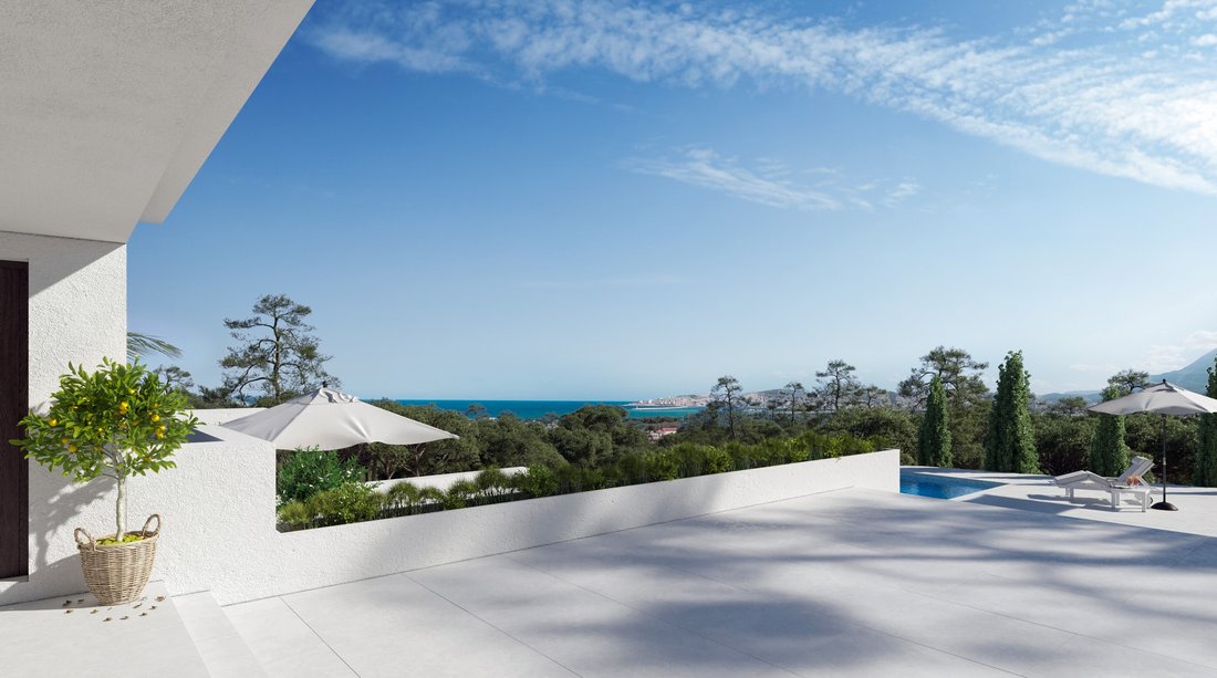 Villa in Cala Moli, Sant Josep de sa Talaia, Spain 5 - 12054189