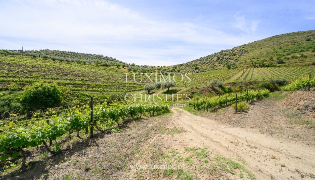 Farm Ranch in Almendra, Guarda District, Portugal 5 - 14224298