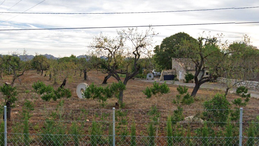 Pollenca, Balearic Islands, Spain 5 - 14224425