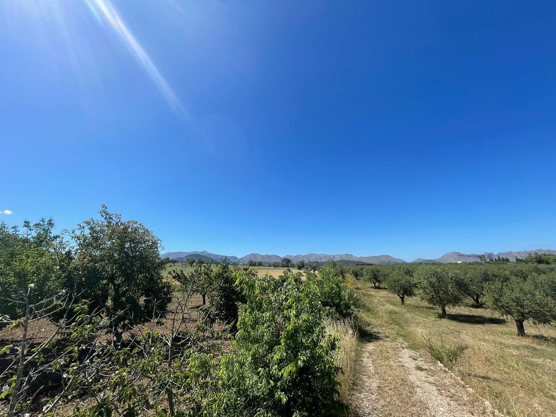 Land in Alcudia, Balearic Islands, Spain 5 - 14222538