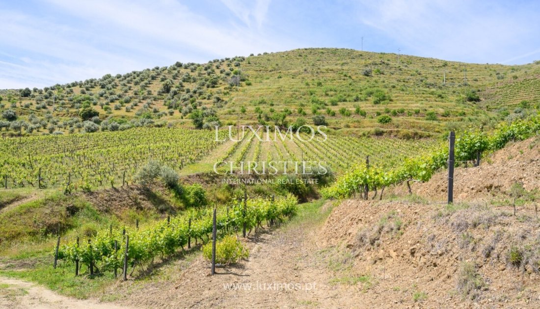 Farm Ranch in Almendra, Guarda District, Portugal 2 - 14224298
