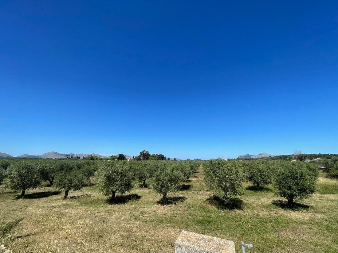 Land in Alcudia, Balearic Islands, Spain 2 - 14222538