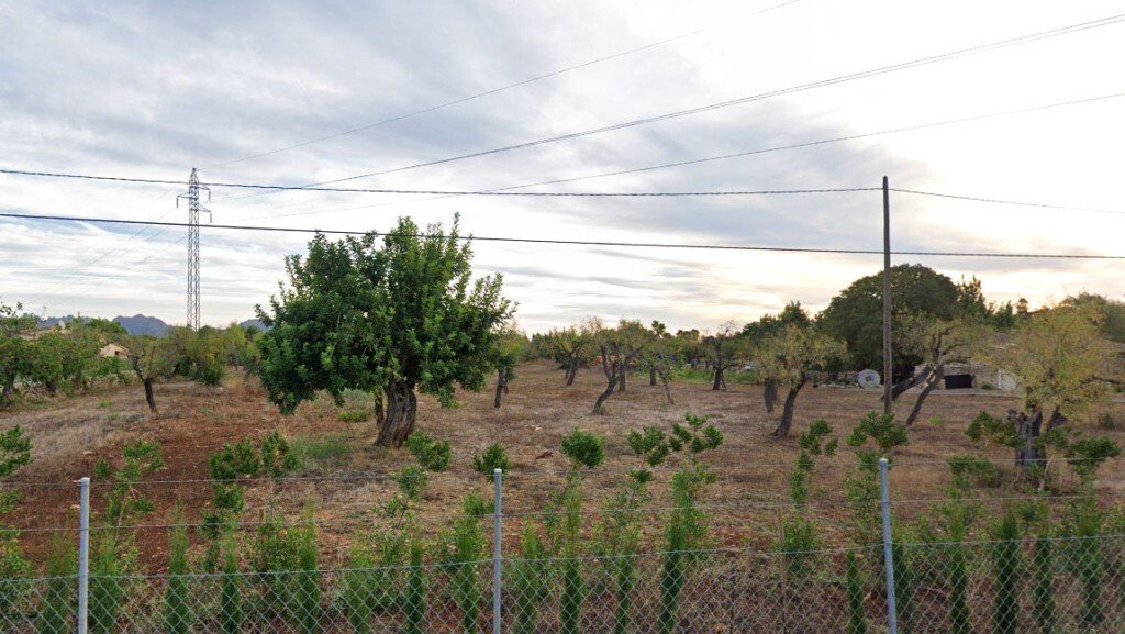 Pollenca, Balearic Islands, Spain 2 - 14224425