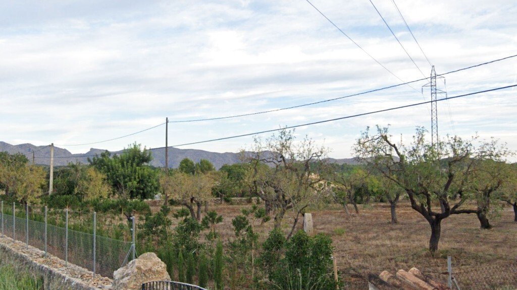 Pollenca, Balearic Islands, Spain 4 - 14224425
