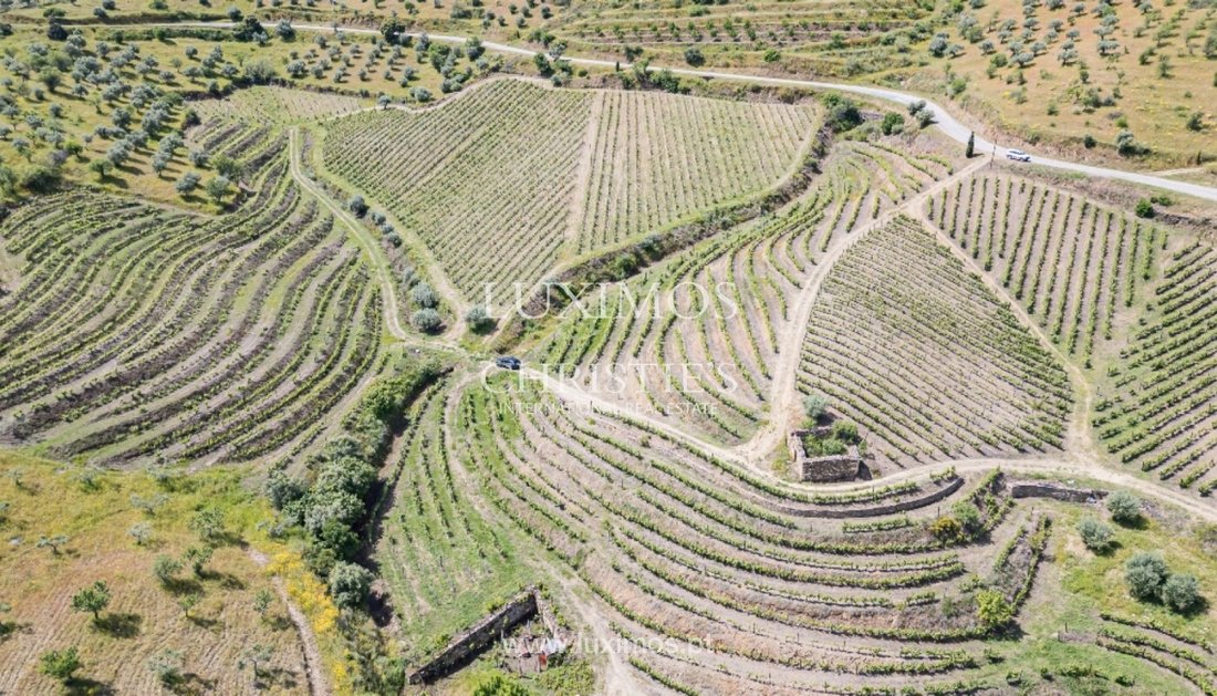 Farm Ranch in Almendra, Guarda District, Portugal 1 - 14224298