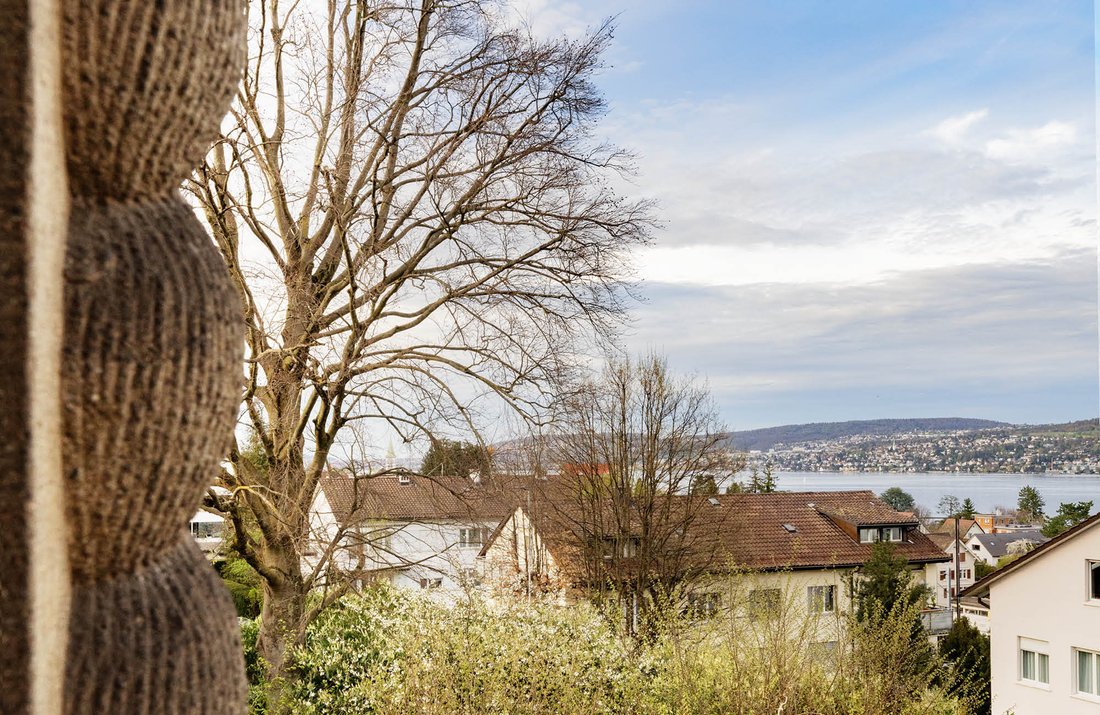 House in Zollikon, Zürich, Switzerland 3 - 14222829