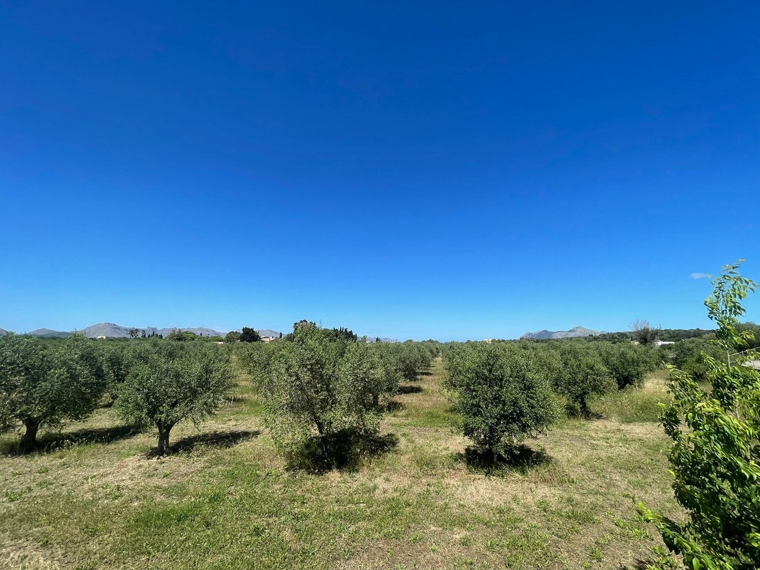 Land in Alcudia, Balearic Islands, Spain 1 - 14222538