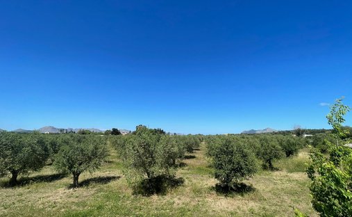 Land in Alcudia, Balearic Islands, Spain 1