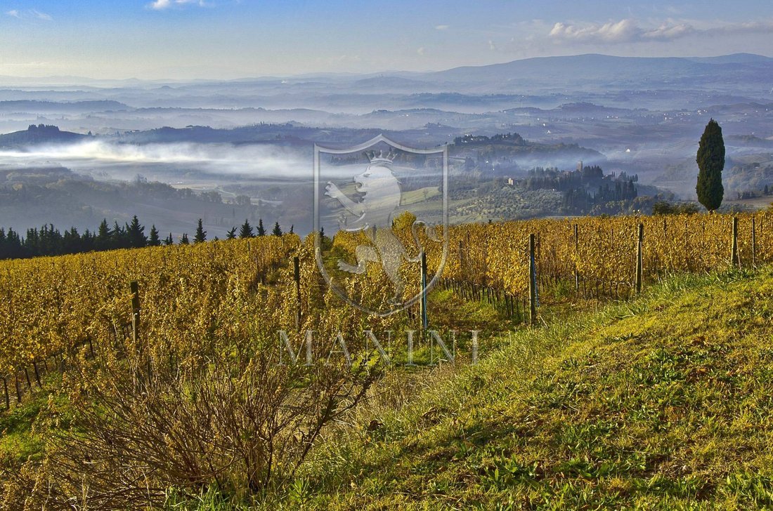 Country House in Montalbino, Montespertoli, Tuscany 1 - 14230396