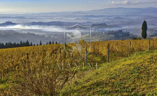 Country House in Montalbino, Montespertoli, Tuscany 1
