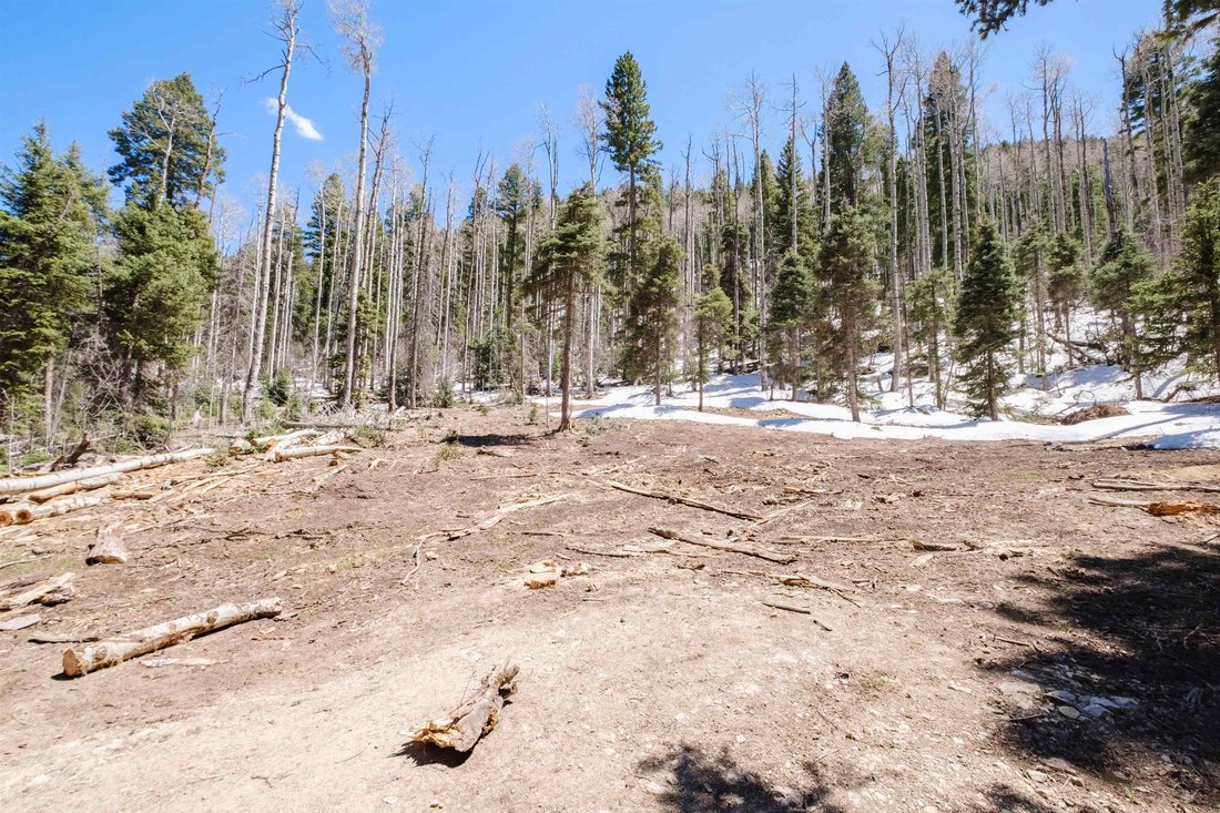 Taos Ski Valley, New Mexico, United States 2 - 14233168