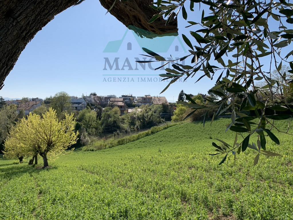Terreno a Jesi, Marche, Italia 4 - 14230079