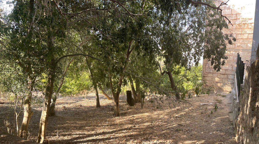 Land in Campanet, Balearic Islands, Spain 1 - 14228013