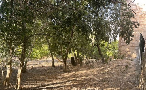 Land in Campanet, Balearische Inseln, Spanien 1