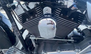 2010 HARLEY DAVISON FLHP