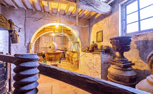 Country House in Castiglione del Lago, Umbria, Italy 1