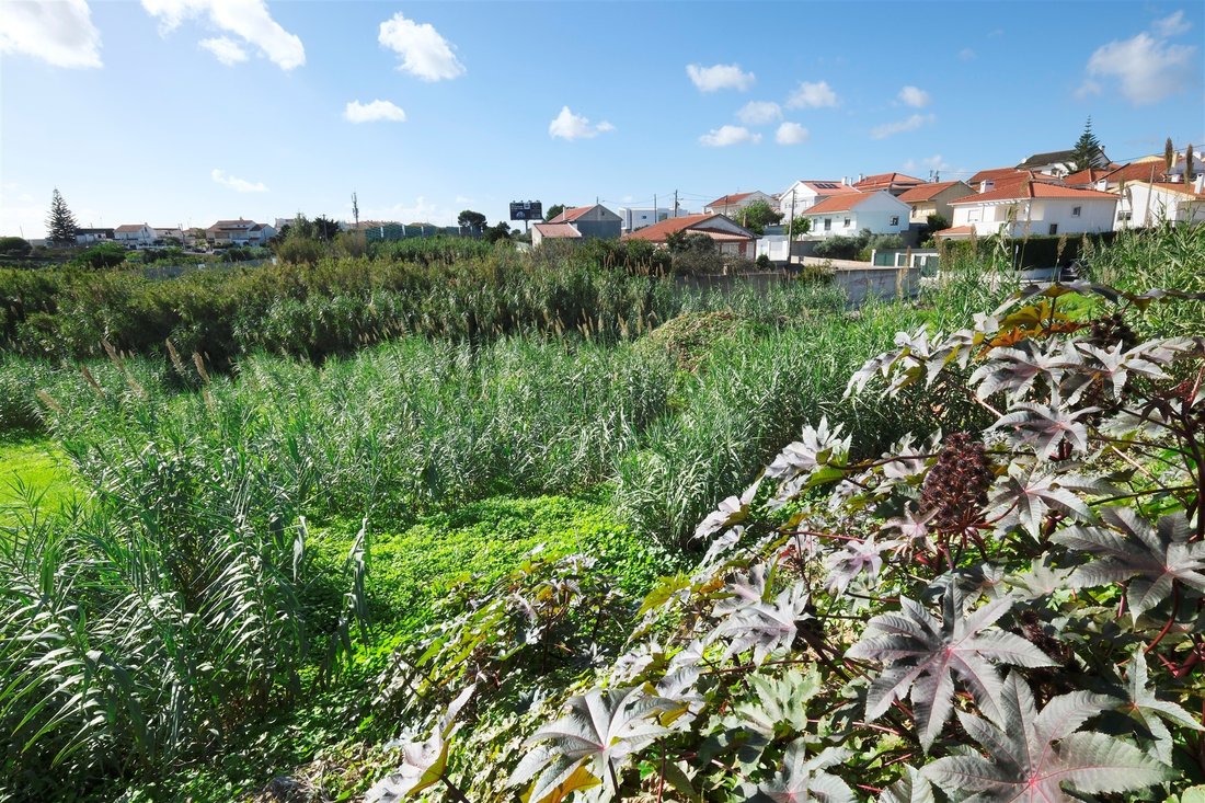 Land in Estoril, Cascais e Estoril, Lisbon 4 - 14236300