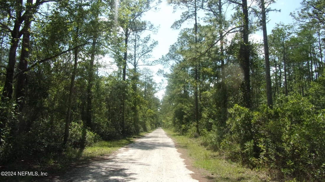 Land in Palatka, FL, United States 3 - 14236855
