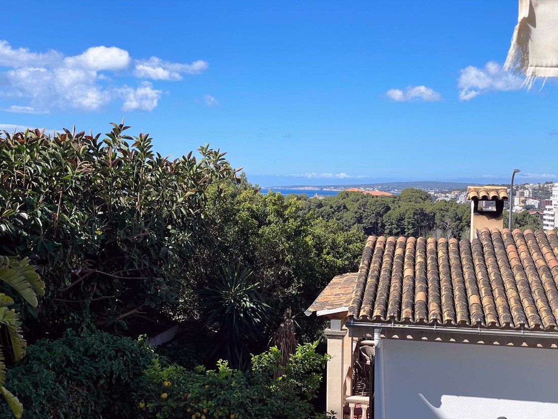 House in Palma, Balearic Islands, Spain 3 - 14237211