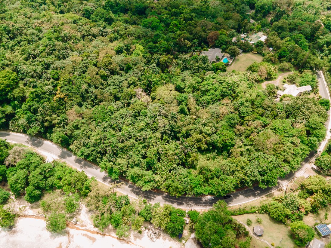 Land in Port Antonio, Portland Parish, Jamaica 2 - 14239598