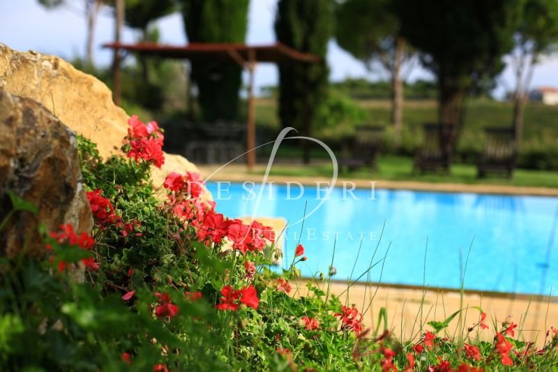 Country House in Scansano, Tuscany, Italy 4 - 14240709