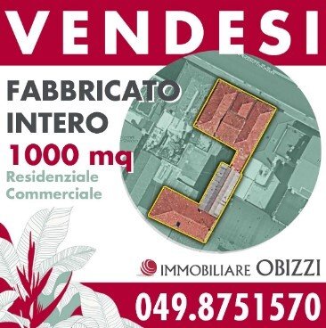 The Canvas of Padova: A Grand Palazzo Awaits Its Renaissance